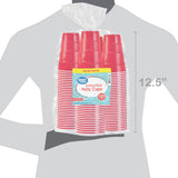 Plastic Party Cups, 18 oz, 120 Count